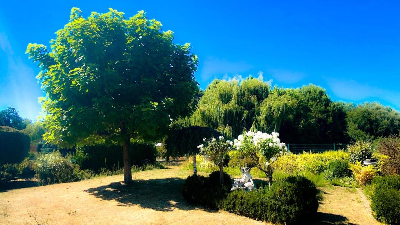 Villa Lucienne Comines-Warneton Buitenkant foto